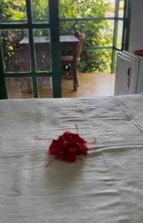 Casa de Samuel Lobritis - 1