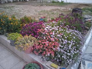 Apartment Mixail 1 - 5