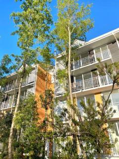Apartamento Vista Bosque y Cordillera - Pucón - 7