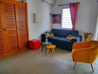 Appartement T2 - Ti-palm - Saint-François - 8