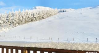 SUPER-BESSE Charmant T2 avec Piscine chauffée & Parking couvert - 6