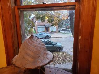 Beer Baron's Abode - 4