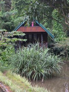 Sinharaja Forest Edge - Deniyaya - 6