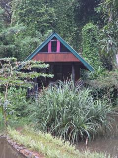 Sinharaja Forest Edge - Deniyaya - 8