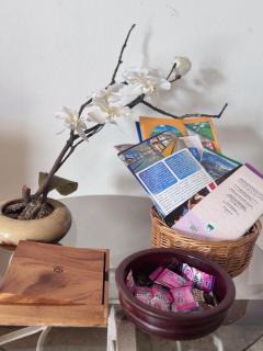 Tico Experience in a Family-Friendly Neighborhood - 1