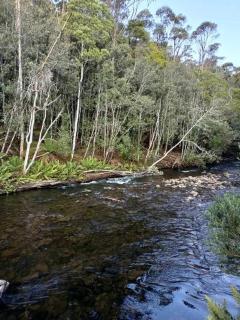 Snowy Range - A true wilderness retreat - - 4