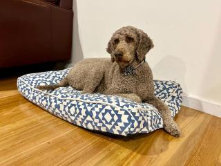 Relax and Reconnect at MaluaBay - 9