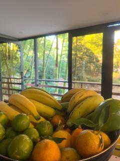 Garden of Eden - Horizonte - 5