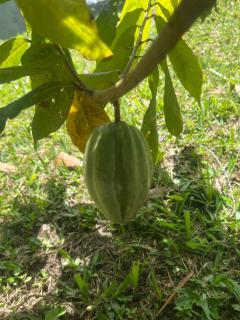 Garden of Eden - Horizonte - 3