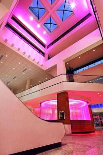 Radisson Plaza Hotel and Suites Kalamazoo - Kalamazoo - 7