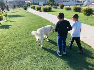 el balcón de los leones 2 - 2