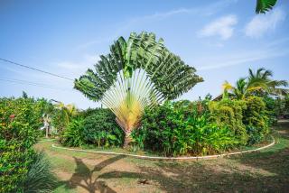 Au cœur du papillon piscine privée - 8