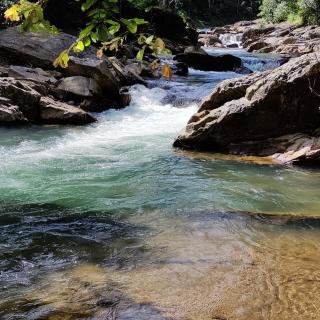 Tropical camping - - 2