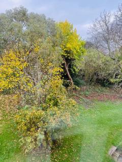 Church Farm Hotel - Wellington - 2