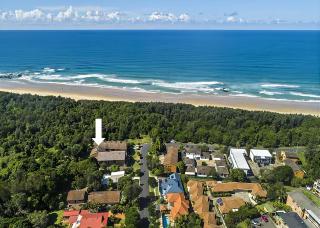 Banksia - Sawtell - 1