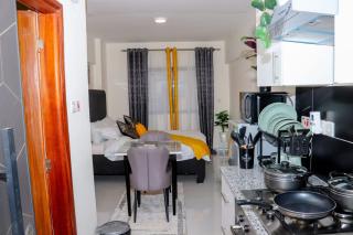 Lux studio apt next to jkia - Nairobi - 7