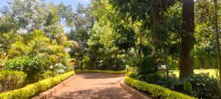 Rosylnn Lonetree ONE Bed - Nairobi - 5