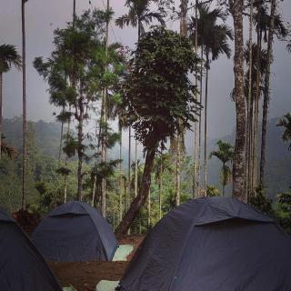 Tropical camping - - 3