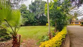 Rosylnn Lonetree ONE Bed - Nairobi - 2