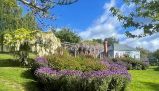 Maple Hill Cottage - 8