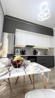 Новые 1ком люкс апартаменты - Astana - 4