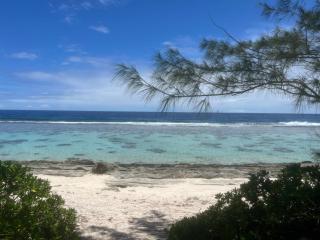 Moorea Reef Bungalows - KAHAIA - Moorea - 9