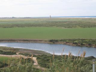 Casa Hijiflor - Conil de la Frontera - 4