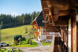 Krährbauernhof mit Eventraum 3 fewo - Hornberg - 4
