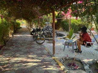 Al Bayan Palms - Nizwa - 4