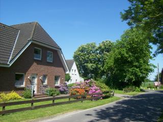 Ferienhof Lüke - Wesselburener Deichhausen - 8