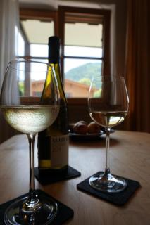 Fewo Rotspitze - Bad Oberdorf - 9