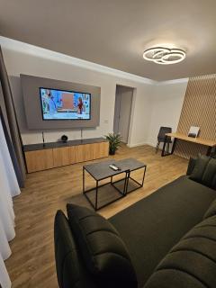 B&D Apartament - Timişoara - 7
