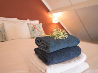 Hosted by wendy Old city charming accommodation - Wassenaar - 5