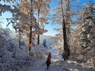 Traumwohnung mit eigenem Garten - 3