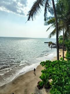 Perch Next door - Kannur - 4
