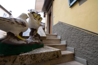 Pagliari12 - 8