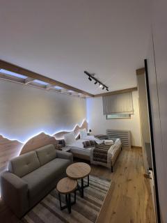 Privatni Studio Apartman RIO 029 u sklopu HOTEL VUČKO JAHORINA - Jahorina - 7