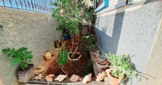 Azour House - Taghazout - 1