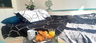 STUDIO NEUF PARKING SECURISE Direct CDG et PARIS CENTRE Parc expo Villepinte & Arena Grand Paris - 2