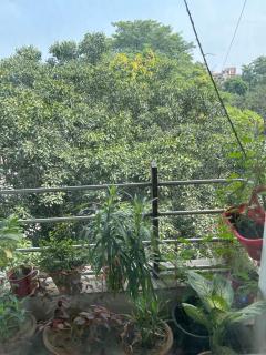 Bellas Homestay - New Delhi - 7