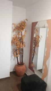 Apartamento Gloria Patricia - Nueva Gerencia - 2