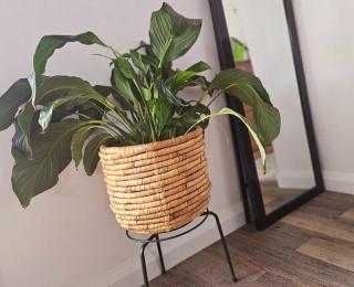 Eureka Cottage,Cozy and Comfy Home, Ballarat - - 4