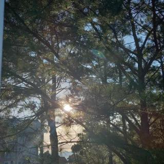 Serene Homes Baguio - 7