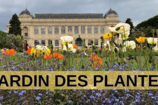 Appartement parisien chic & cosy MBKA - Paris - 5