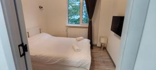 Luxury Lion Crib - 3