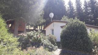 Ferienhaus Goldisthal - Goldisthal - 2