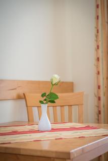 Gasthof-Pension Ölberger - 4