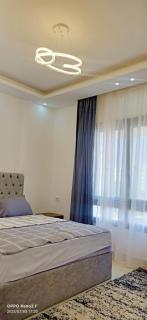 celia new capital - 2