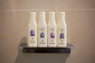 Lavande Hotel Beijing Tiananmen Square Wangfujing Street Branch - 2