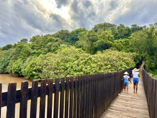 Mtunzini Forest Lodge Self Catering Resort - Mtunzini - 4